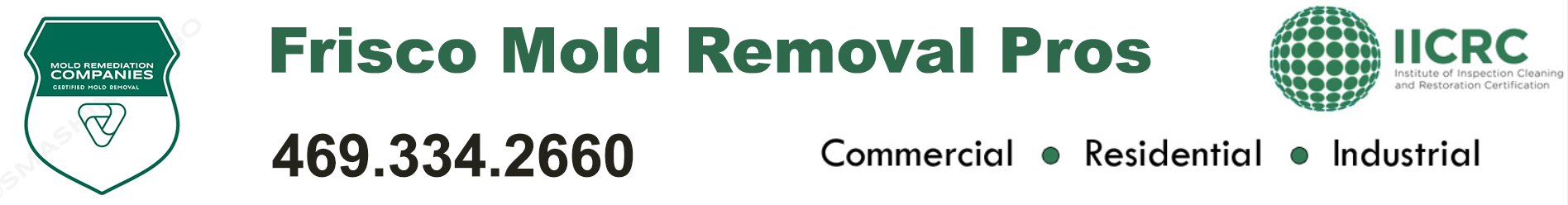 Frisco Mold Removal Pros