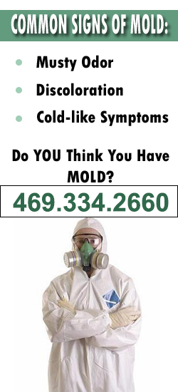 Frisco Mold Remediation Contractor